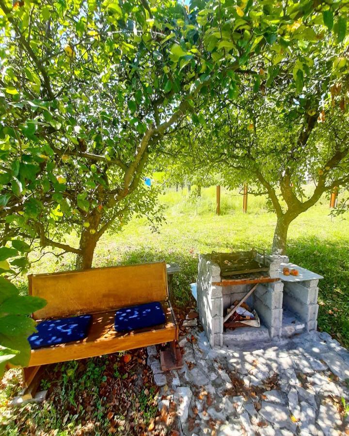 Apartman Cherry Gradac Valjevo Dış mekan fotoğraf