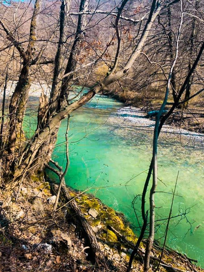 Apartman Cherry Gradac Valjevo Dış mekan fotoğraf