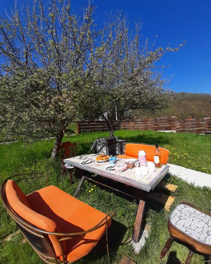 Apartman Cherry Gradac Valjevo Dış mekan fotoğraf
