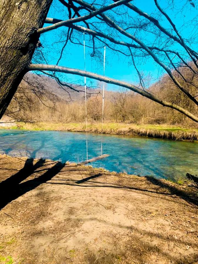 Apartman Cherry Gradac Valjevo Dış mekan fotoğraf