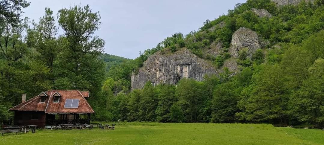 Apartman Cherry Gradac Valjevo Dış mekan fotoğraf
