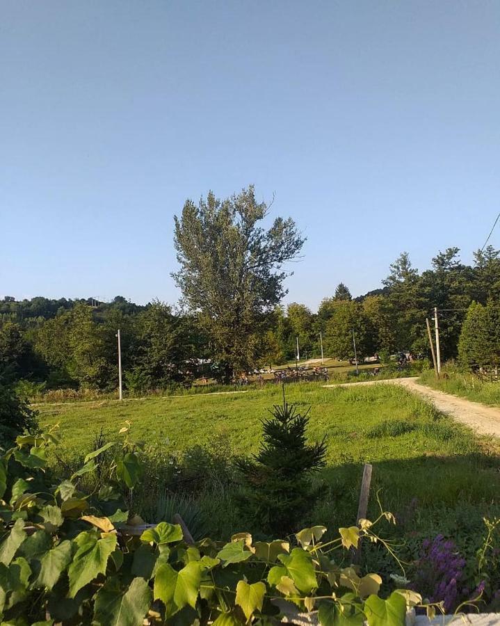 Apartman Cherry Gradac Valjevo Dış mekan fotoğraf
